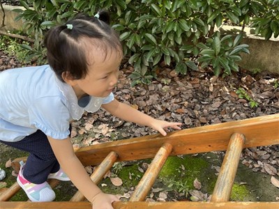 北小七班：走平衡木