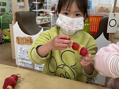 糖葫芦