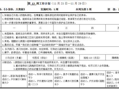 第13周周计划