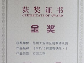 2013全国校园电视金奖